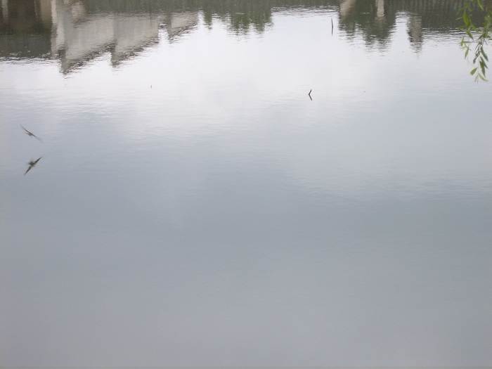 ���ݵ���������