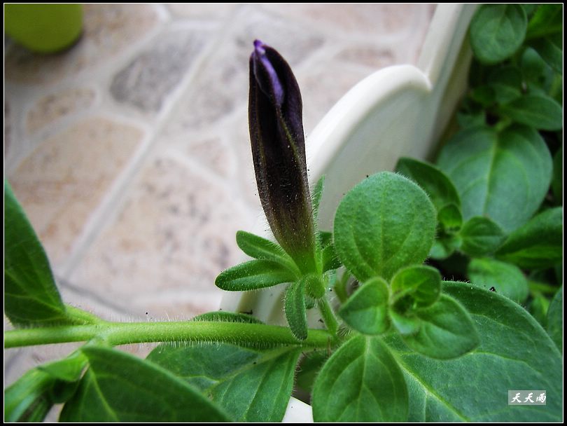 �Ź���ţ���������