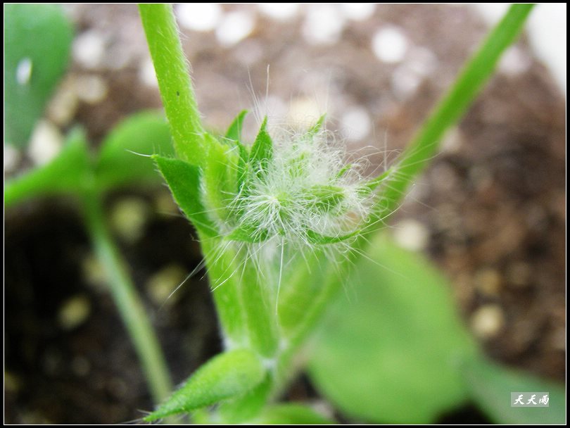 �Ź���ţ���������