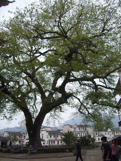 ���ݵ���������