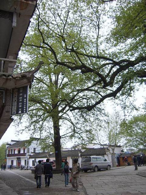 ���ݵ���������