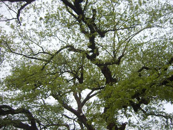 ���ݵ���������