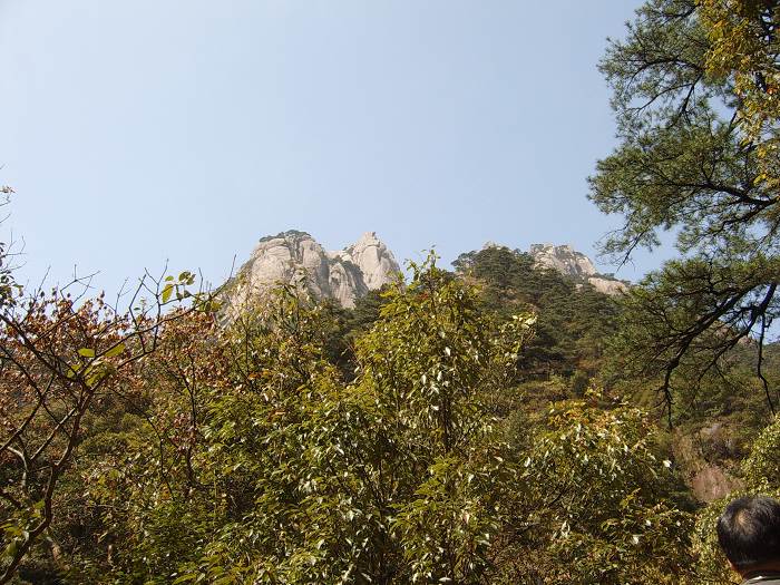 ���ݵ���������