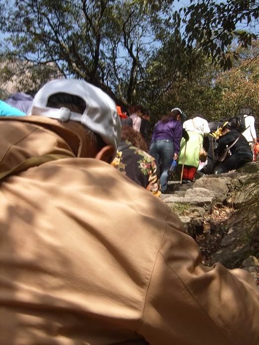 ���ݵ���������