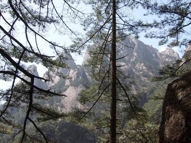 ���ݵ���������