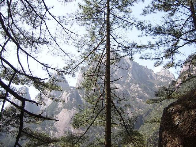 ���ݵ���������