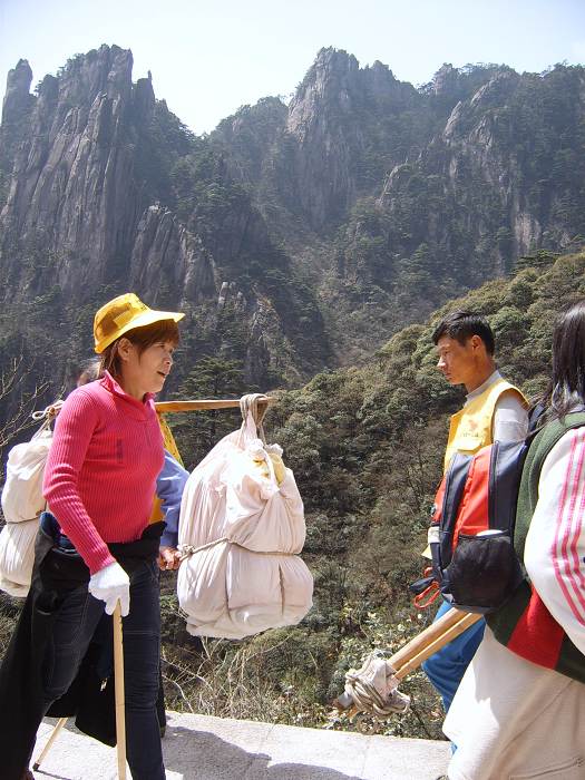 ���ݵ���������