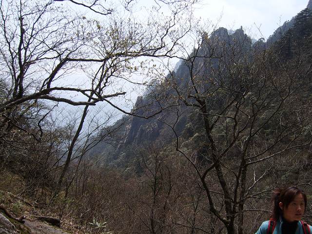 ���ݵ���������