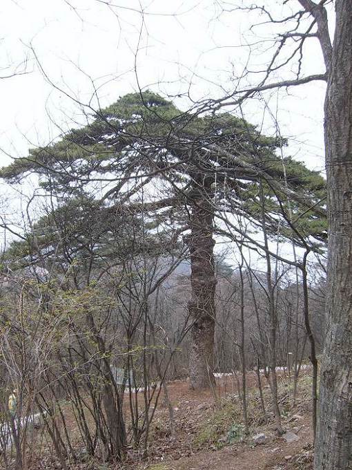 ���ݵ���������