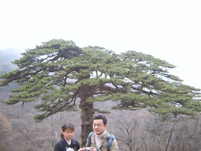 ���ݵ���������