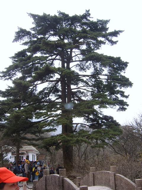 ���ݵ���������