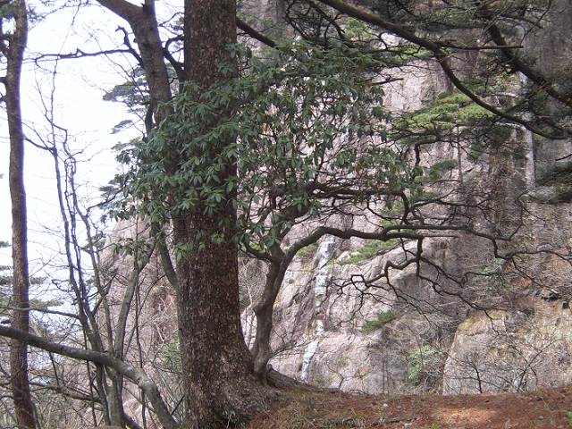 ���ݵ���������