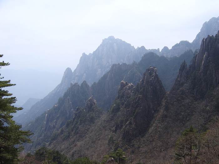 ���ݵ���������