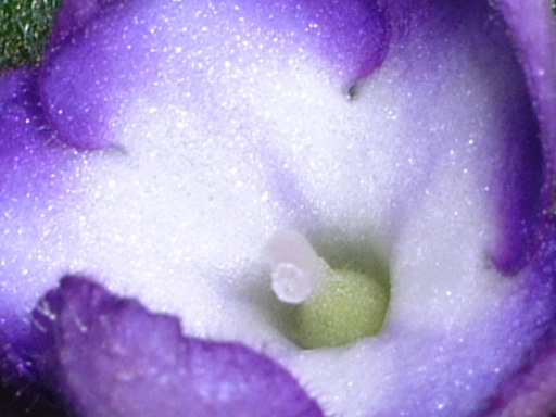 [ע��]İ�����������������ٿ��������Ծۻᣨ�ۻ�ʱ���Ѷ����뿴P3��