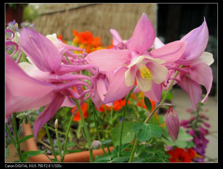 �����ﶷ��~~~