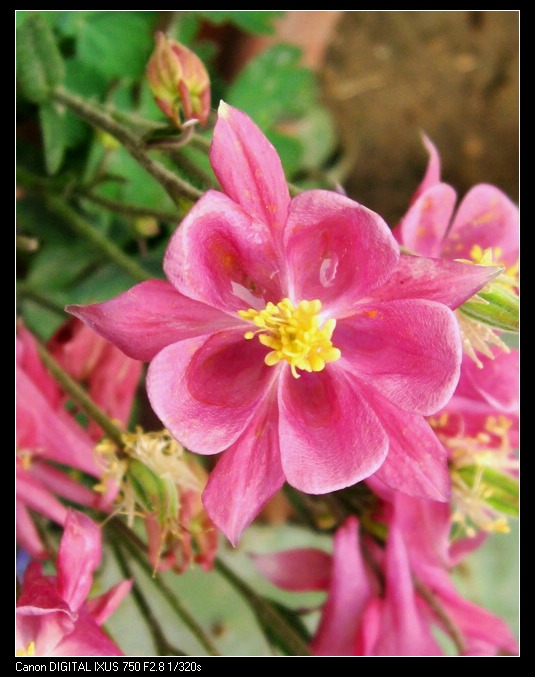 �����ﶷ��~~~