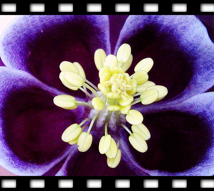 �����ﶷ��~~~