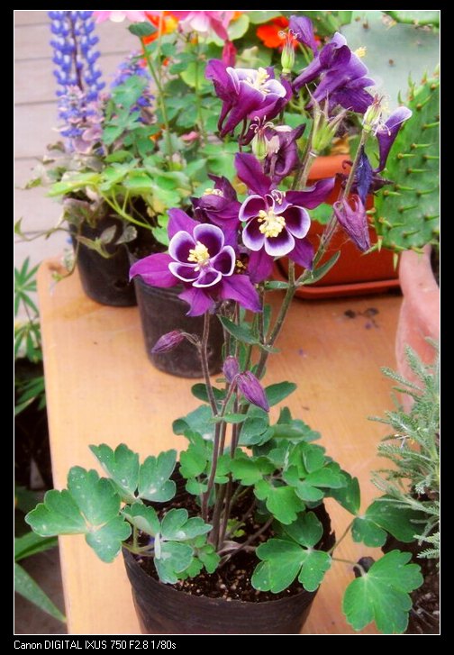 �����ﶷ��~~~