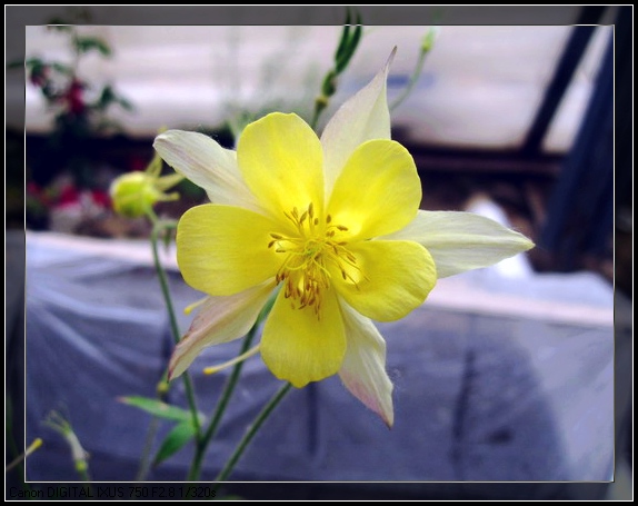 �����ﶷ��~~~