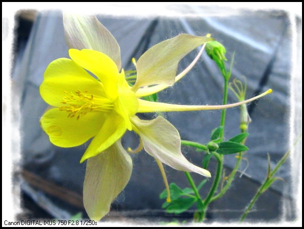 �����ﶷ��~~~