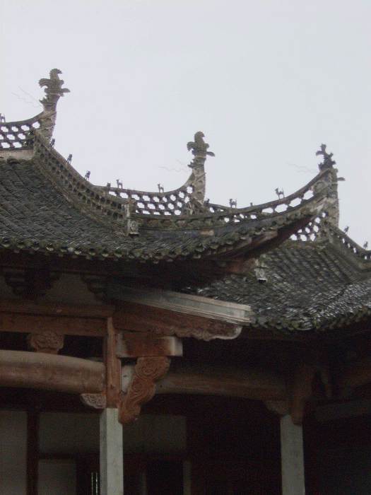 ���ݵ���������