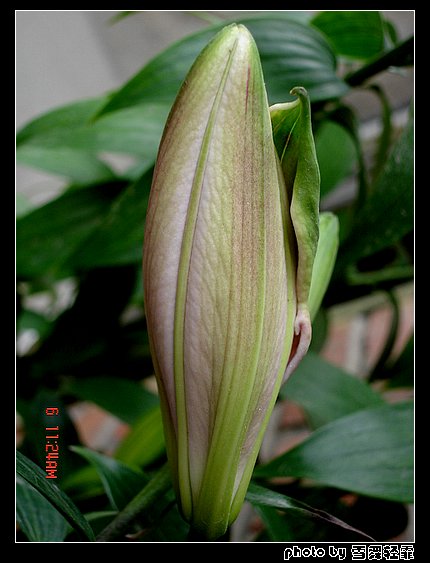 �Ұٺ�Ҳ�д��졭����5¥���£�