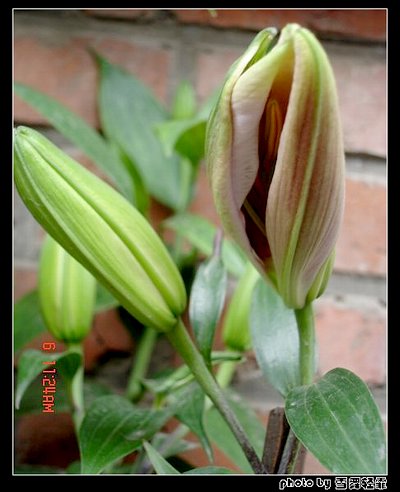 �Ұٺ�Ҳ�д��졭����5¥���£�