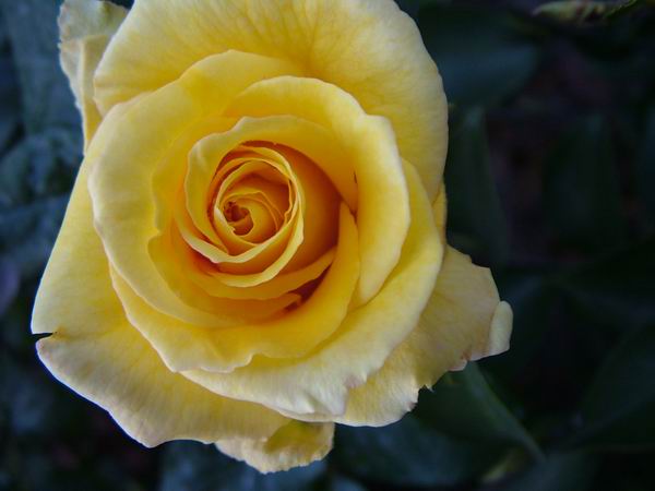 ż�Ļ���ż��Ժ��