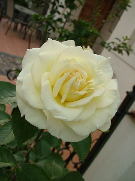 ż�Ļ���ż��Ժ��