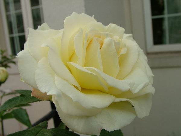 ż�Ļ���ż��Ժ��