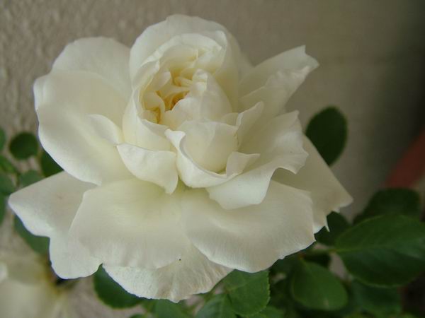 ż�Ļ���ż��Ժ��