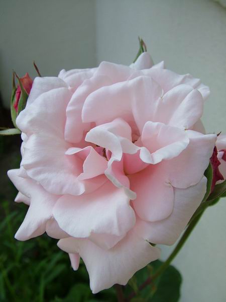 ż�Ļ���ż��Ժ��