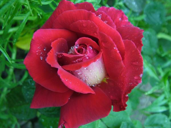 ż�Ļ���ż��Ժ��