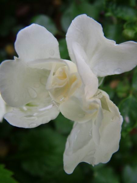 ż�Ļ���ż��Ժ��