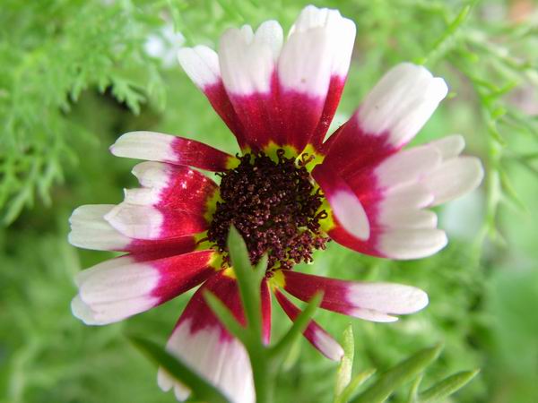 ż�Ļ���ż��Ժ��