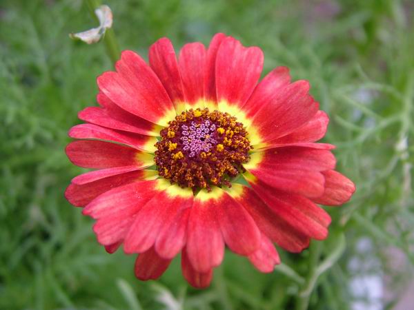 ż�Ļ���ż��Ժ��