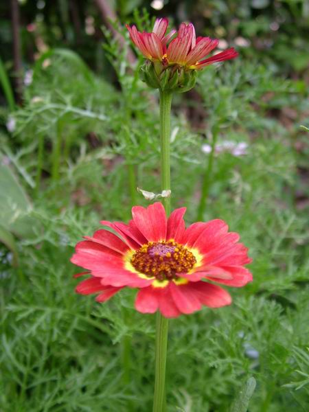 ż�Ļ���ż��Ժ��