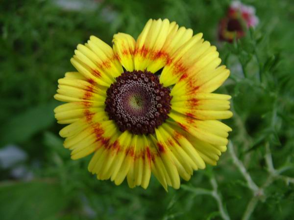 ż�Ļ���ż��Ժ��