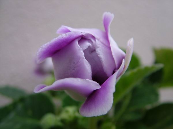 ż�Ļ���ż��Ժ��