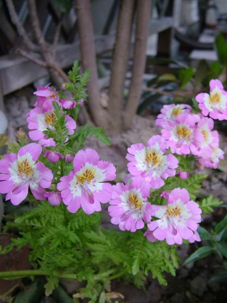 ż�Ļ���ż��Ժ��