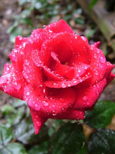 ż�Ļ���ż��Ժ��