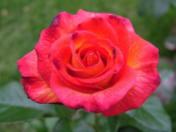 ż�Ļ���ż��Ժ��