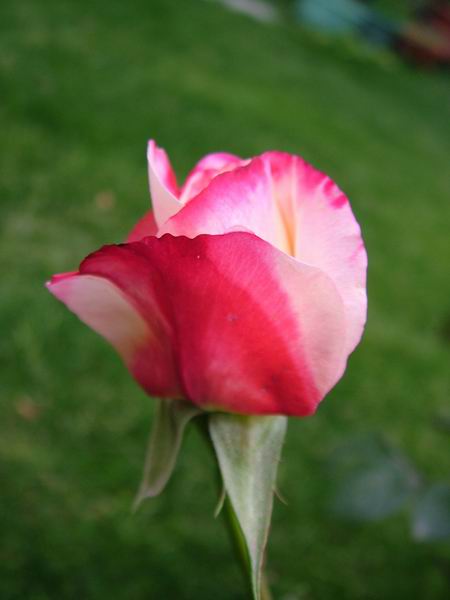 ż�Ļ���ż��Ժ��