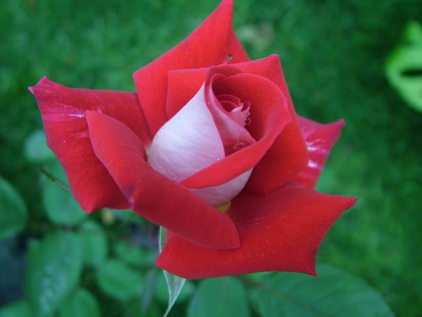 ż�Ļ���ż��Ժ��