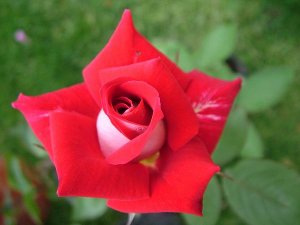 ż�Ļ���ż��Ժ��