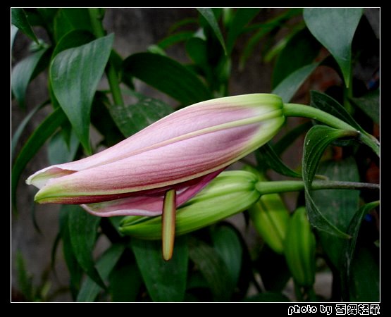 �Ұٺ�Ҳ�д��졭����5¥���£�