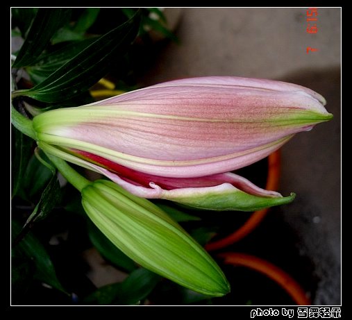 �Ұٺ�Ҳ�д��졭����5¥���£�