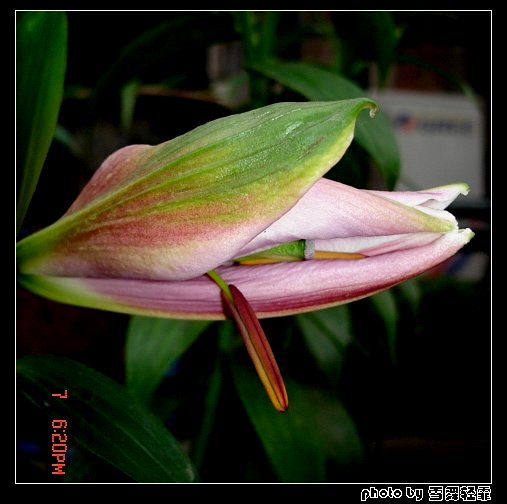 �Ұٺ�Ҳ�д��졭����5¥���£�