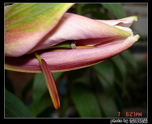 �Ұٺ�Ҳ�д��졭����5¥���£�