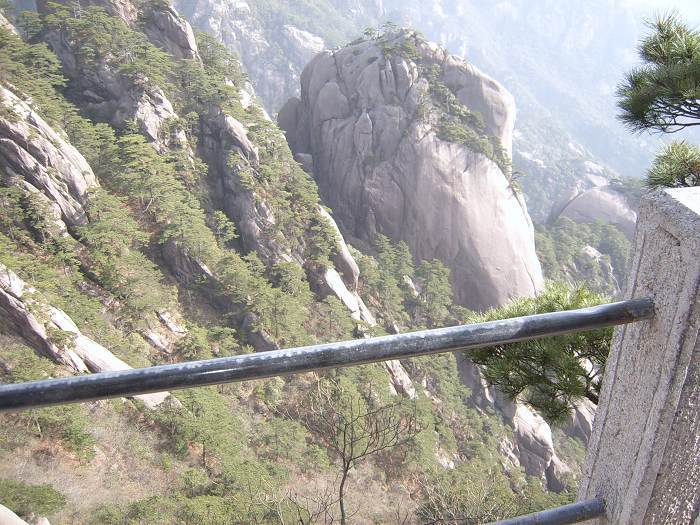 ���ݵ���������